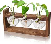 AXIM Plant Propagation Stations,Creative Glass Crafts with Retro Solid Wood Brackets Plant Terrarium Kit,Heart Shaped Garden Decoration for Plant Lovers Home Office Decor (Transparent)