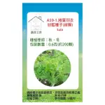 【蔬菜工坊】A59-1.捲葉羽衣甘藍種子(綠舞)