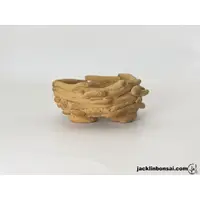 在飛比找蝦皮購物優惠-【Jack Lin Bonsai】Handmade Cera