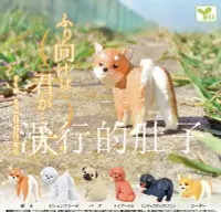 在飛比找Yahoo!奇摩拍賣優惠-特價！日本 YELL 回眸的小狗 柴犬 柯基 擺件 扭蛋