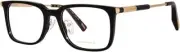 CHOPARD EYEWEAR VCH 344 0700