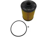 7064119M91 Agco Parts Fuel Filter Kit For Massey Ferguson Compact Tractors