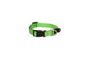 Rogz Lime Medium 16mm Wide x 26cm to 40cm Classic Utility Collar for Dogs & Puppies
