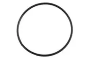 Davey Crystal Clear & Ecopure Tank Oring - DCC and DEP Models DCC/DEP