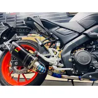 在飛比找蝦皮購物優惠-全新現貨 Akrapovic R15 MT15 M-slaz