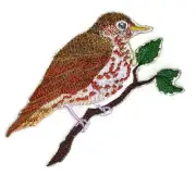 Amazing Birds Kingdom [Single Wood Thrush Bird ] [Custom and Unique] Embroidered