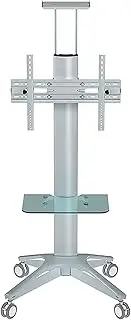 Rolling TV Stand, Mobile TV Cart, TV Universal Bracket,TV Mobile Cart,Floor-Standing Advertising Video Large Screen Hanger(Silver