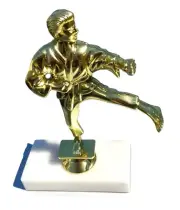 Martial Arts Trophy - Marble Base Gold figure - Karate Tae Kwon Do Jujutsu