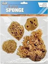 Royal & Langnickel Combi Sea Sponge Set of 4 Neutral Sponges