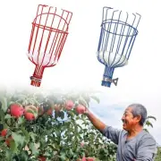Fruit Picker Basket Accessory Fruit Tree Picker Tool for Lemon Avocados Farm