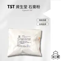 在飛比找蝦皮購物優惠-TST 資生堂 石膏粉  石膏 500G、1KG袋裝 擴香石