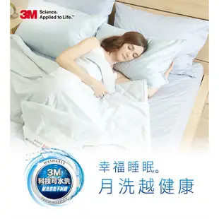 3M 新一代防蟎水洗枕 一入 防蟎枕