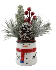 Flora Bunda Xmas Mix In Snowman Ceramic Pot