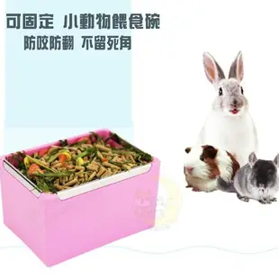 飼料碗 碗 兔子餵食碗 小型寵物餵食器 可懸掛塑料餵食碗 松鼠兔子豚鼠倉鼠刺猬餵食容器 寵物用品配件