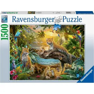 【Ravensburger】維寶拼圖 叢林裡的花豹 1500片