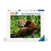 Ravensburger 00369-4 Red Panda Photo 500pc Jigsaw Puzzle