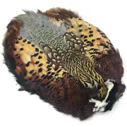 RINGNECK PHEASANT SKIN - Hareline Fly Tying Feathers Ring-Neck Pelt NEW!