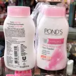 POND'S POWDER IS ALKALINE 遮瑕膏