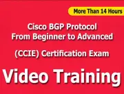 Cisco BGP from beginner to advanced CCIE Video Training Tutorials cbt - 14+ Hrs