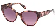 Max & Co. MO0095 55B Women’s Sunglasses Tortoiseshell Size 54