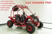 125CC Buggy ATV Sport Quad Dirt Bike 4 Wheel Go kart Semi Auto SAHARA PRO Red