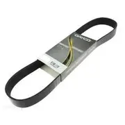 Dayco Polyrib Belt - 10PK2400