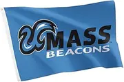 Desert Cactus UMass Boston 100% Polyester Indoor Outdoor 3x5 feet Banner (Flag C)