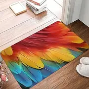 Fantastic Parrot Feather Doormat Absorbent Non-Slip Floor Mats 15.7 X 23.6 in Flannel Welcome Mats Outdoor Front Door Mat Heavy Duty Entrance Rug Washable Area Rug for Kitchen Patio Porch