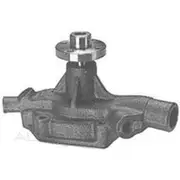 Protex Water Pump - PWP5028