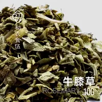 在飛比找蝦皮購物優惠-【初衣食伍】牛膝草 HYSSOP MARJORAM 10g｜