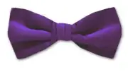 Boy's Purple Solid Satin Pre-Tied Bowtie for Schools - Weddings- NWT