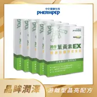 在飛比找momo購物網優惠-【中化健康生技】沛存七合一多效葉黃素EX 5盒共300錠(強