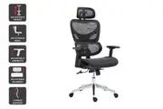 Ergolux EZ11 Ergonomic Office Chair with Dynamic Lumbar Support (Black)