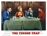 The Tender Trap lobby card David Wayne Celeste Holm Frank Sinatra 1955 PHOTO