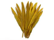 1/4 Lb. Old Gold Goose Pointers Long Primary Wing Wholesale Feather Costume