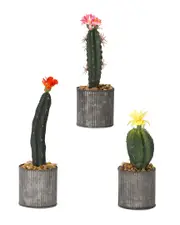 D&W Silks Set Of 3 Assorted Cactus in Round Tin Planter