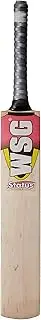 Protoner Wsg Status Kashmir willow season cricket bat (Full Size)