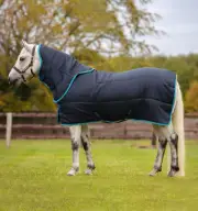 Amigo Insulator Plus Medium - Pony - Navy/Electric Blue