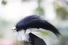 20 Pcs Black Zonker Streamers Trout Fly Fishing Flies Lures With Free Fly Box
