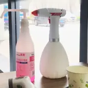 Electric Watering Can 1L 2 Modes Automatic Plant Spray Bottle White