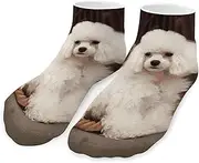 [QMNVBDS] French Poodle Socks Ankle Length Socks Casual Short Socks for Women Men Low Cut Sports Socks Running Socks No Show Socks Ankle Socks Athletic Socks Workout Socks, Style, One Size, Style, One