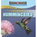 THE LIFE CYCLE OF A HUMMINGBIRD