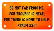 PSALM 22:11 Verse 4" X 7" ATV Motorcycle License Plate Christian Emblem
