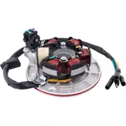 TDR Magneto Stator Plate Lifan 140cc 150cc Kick Start Dirt Trail Pit Bike ATV Quad Motorcycle Engine Motocross Replacement 6 Poles Coils 5 Wires Electric System Part Accessory