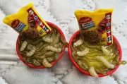 Zuru Minis Mega Gross Minis Series 2 MAGGOT 2-MINUTE SPEWDLES VOMIT SPICY