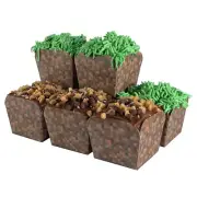 Crafty Miner "Grass Block" Cupcake Baking Cups & Decorating Kit – FINAL STOCK!