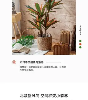 北歐ins仿真植物假花綠植盆栽擺件巴西鐵樹客廳室內落地大型裝飾 幸福驛站