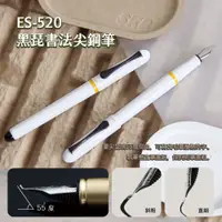 在飛比找蝦皮購物優惠-皮皮龜 SKB ES-520 黑琵永續鋼筆組 書法尖 高級 