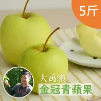 在飛比找台灣好農優惠-大禹嶺阿信金冠青蘋果(5斤/箱)