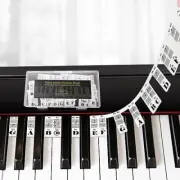 Removable Piano Keyboard Note Labels Piano Keyboard silicone sticker-black